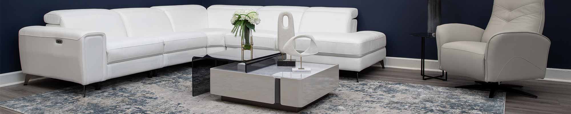 Sleek Living Room Image for Modern Furniture Blog focused on Interior Design Tips and Furniture Trends